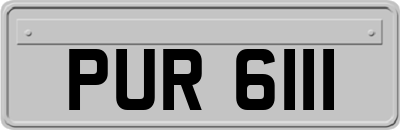 PUR6111