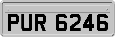 PUR6246