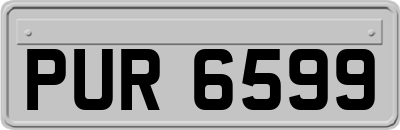 PUR6599