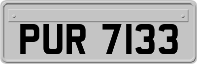 PUR7133