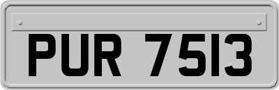 PUR7513