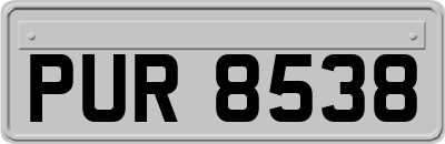 PUR8538