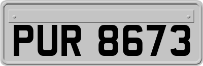 PUR8673