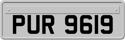 PUR9619