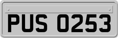 PUS0253