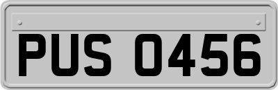 PUS0456