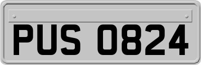 PUS0824