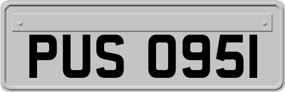PUS0951
