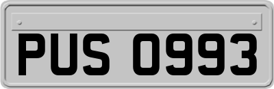PUS0993
