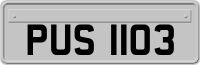 PUS1103