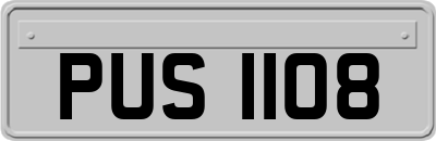 PUS1108