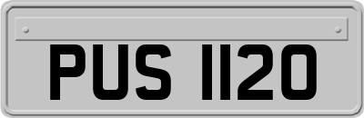 PUS1120