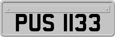 PUS1133