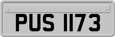 PUS1173