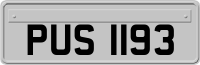 PUS1193