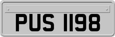 PUS1198