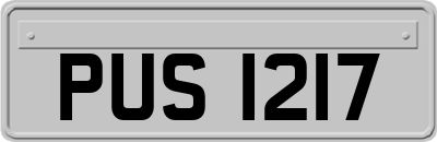 PUS1217