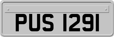 PUS1291