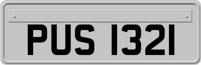 PUS1321