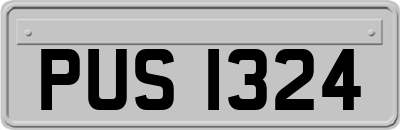 PUS1324