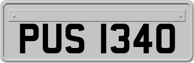 PUS1340