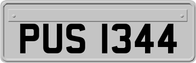 PUS1344