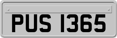 PUS1365