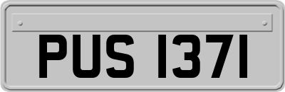 PUS1371