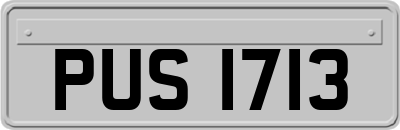 PUS1713