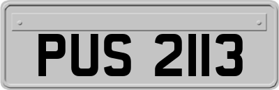 PUS2113
