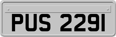 PUS2291