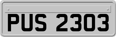 PUS2303