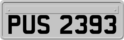 PUS2393