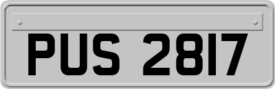 PUS2817