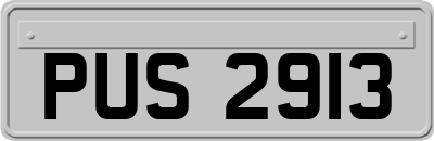 PUS2913