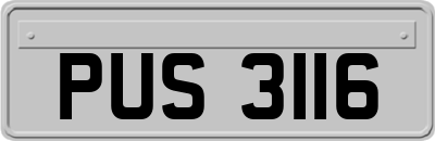 PUS3116