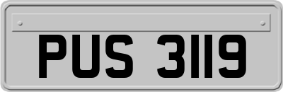PUS3119