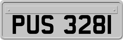 PUS3281