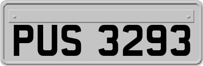 PUS3293