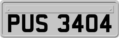 PUS3404
