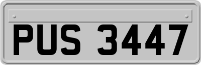 PUS3447