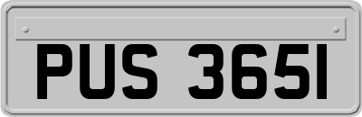 PUS3651
