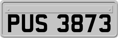 PUS3873