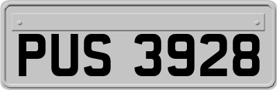 PUS3928