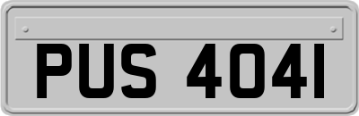 PUS4041