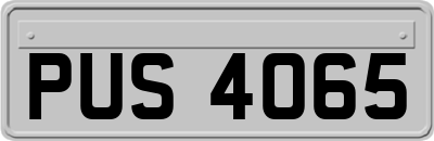 PUS4065