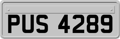 PUS4289