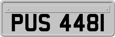 PUS4481
