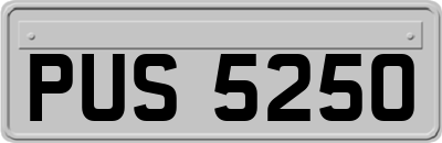 PUS5250