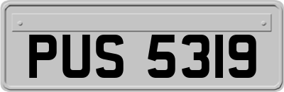 PUS5319